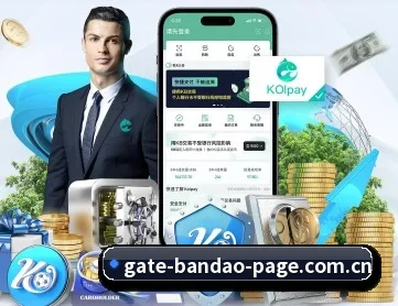 半岛体育平台 APP 深度功能